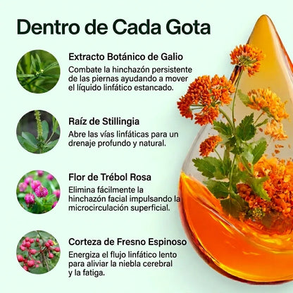Gotas de drenaje linfático Linfia®